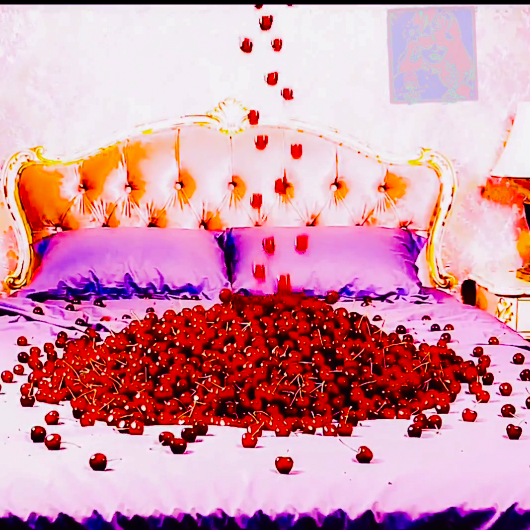 Delicious Cherries! Pictures Download