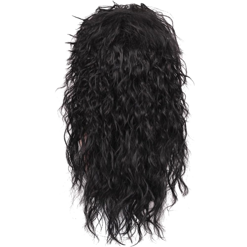 PORSMEER Mens Long Curly Rock N Roll Wig for Men Heavy Metal Rock Disco Hair for Rockstar, Halloween, Party, Retro Music Festival (Black)