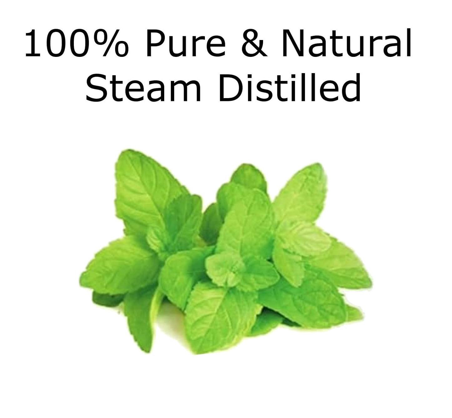Essentially KateS Lavender Oil – 100% Pure & Natural, Steam-Distilled, with Glass Dropper, Roll-On Bottle & Sprayer for Aromatherapy, Skin & Home Use