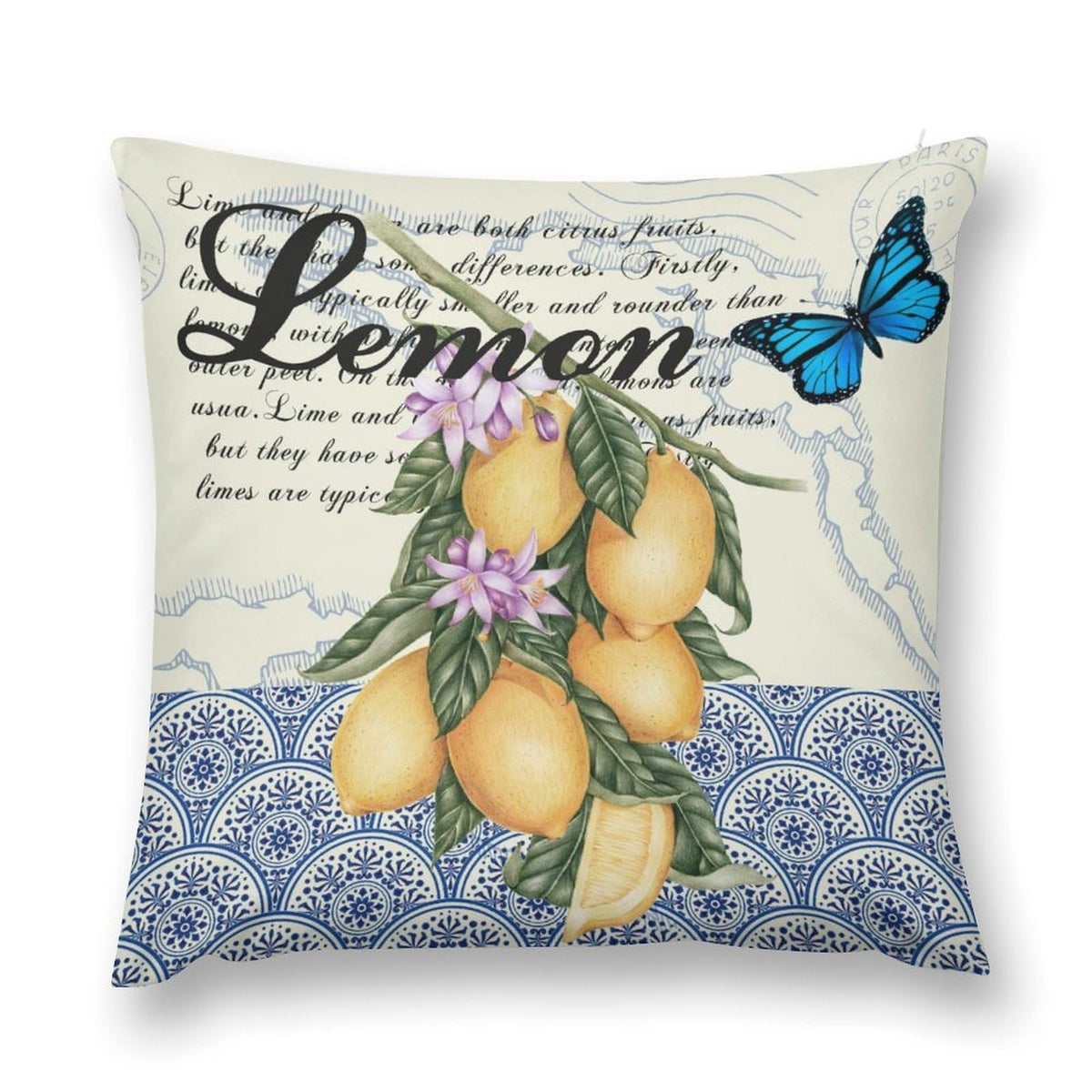Cherry Throw Pillow Covers Funny Fruit Fresh Berry Cherries Background Retro Style Decorations for Bedroom Living Room Farmhouse Sofa Pillows Bed Couch 12x12 Inch